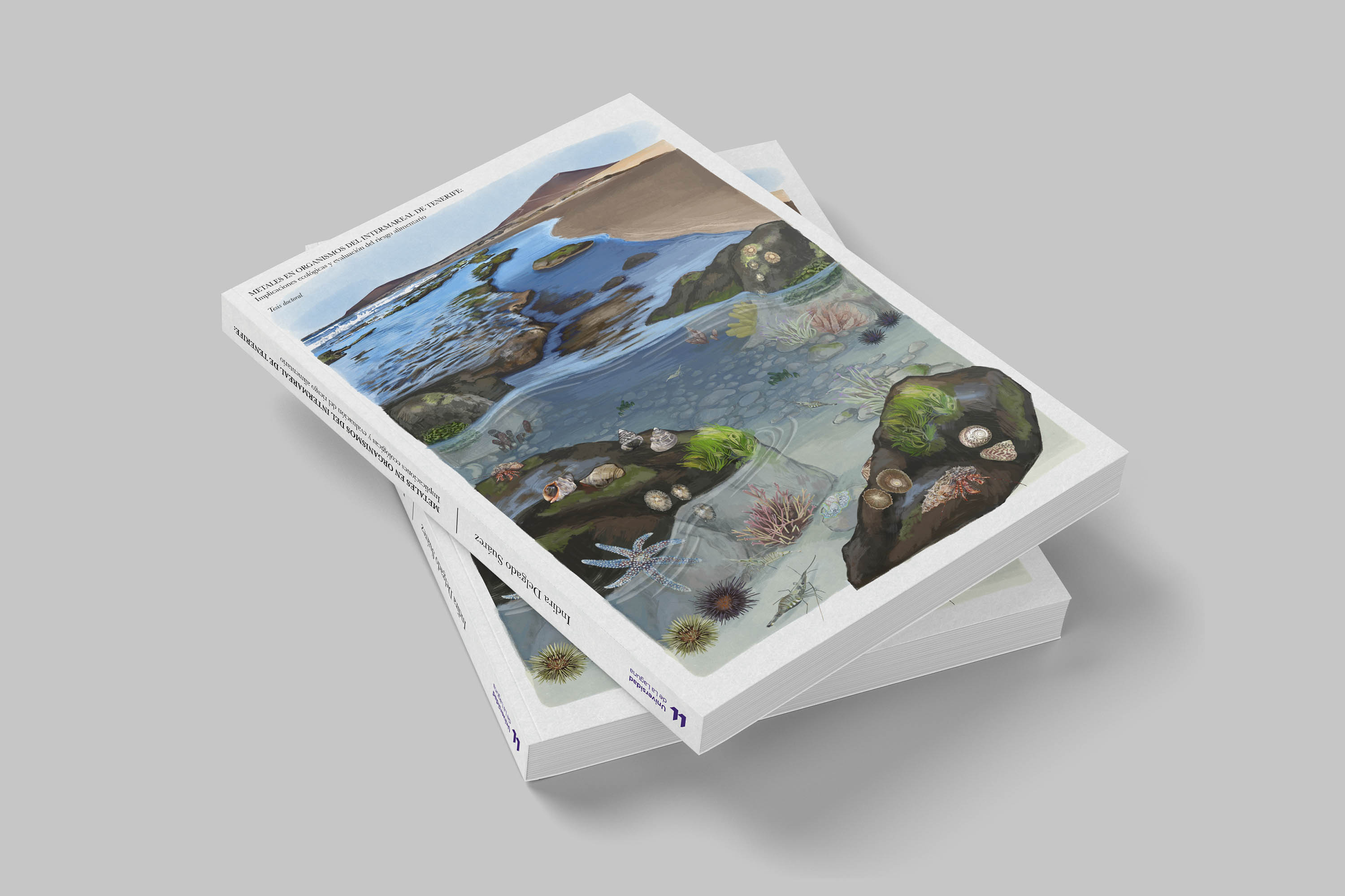 Diseño de portada de tesis doctoral con ilustración científica de Canarias