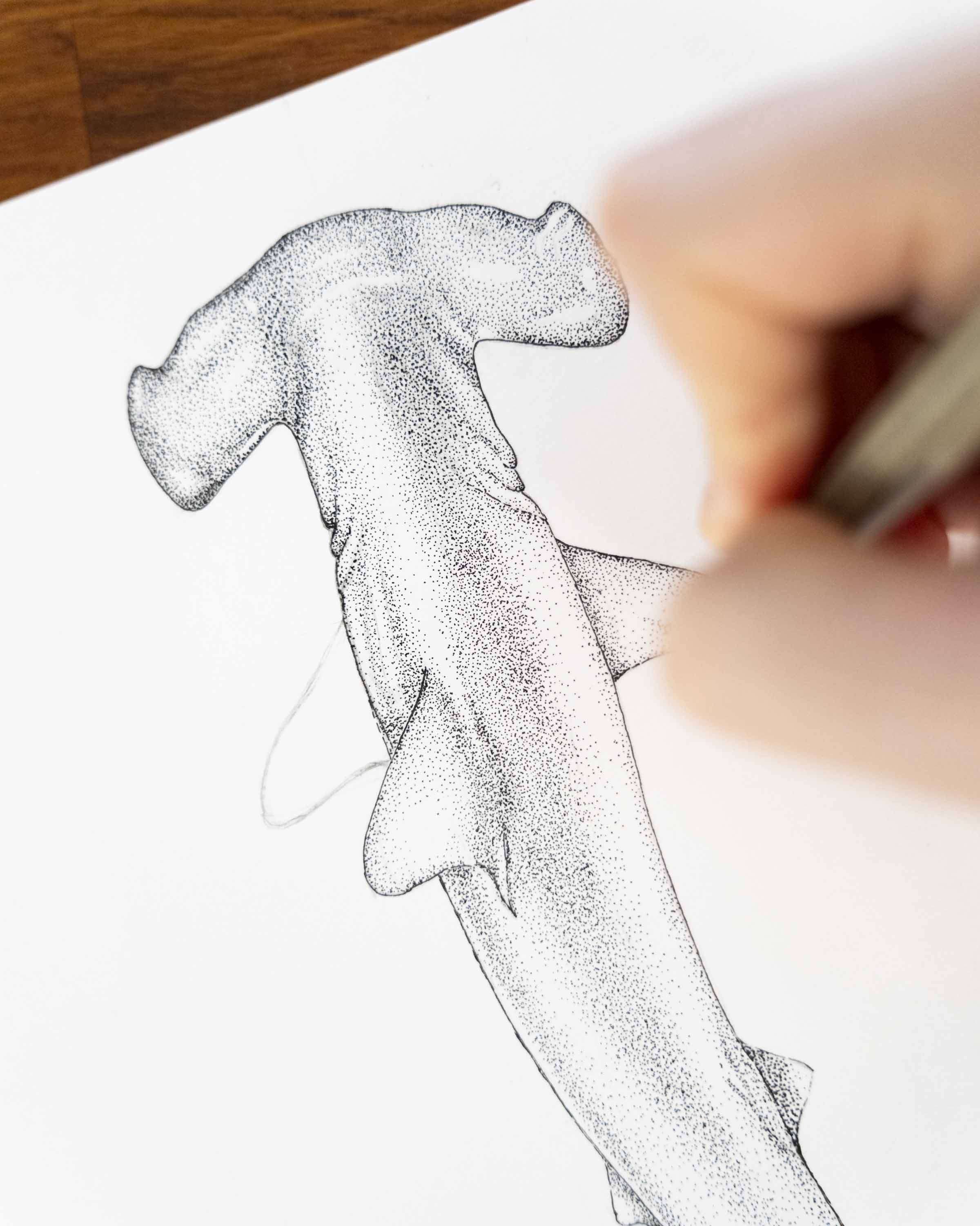 Diseño de tiburón martillo