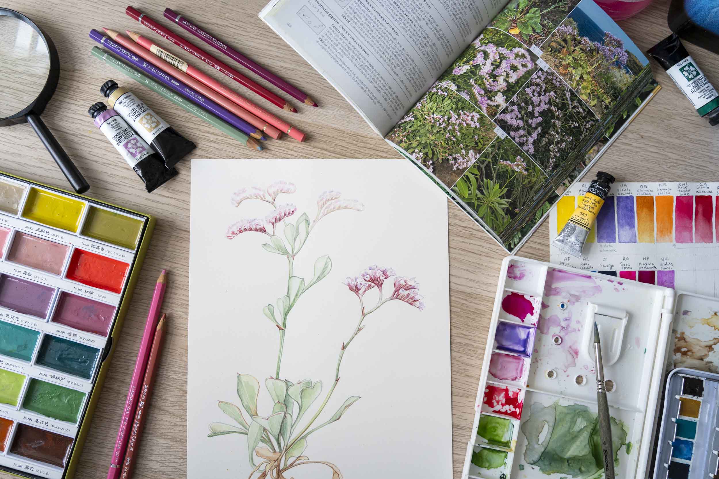 Cómo aprender a ilustrar botánica en Canarias