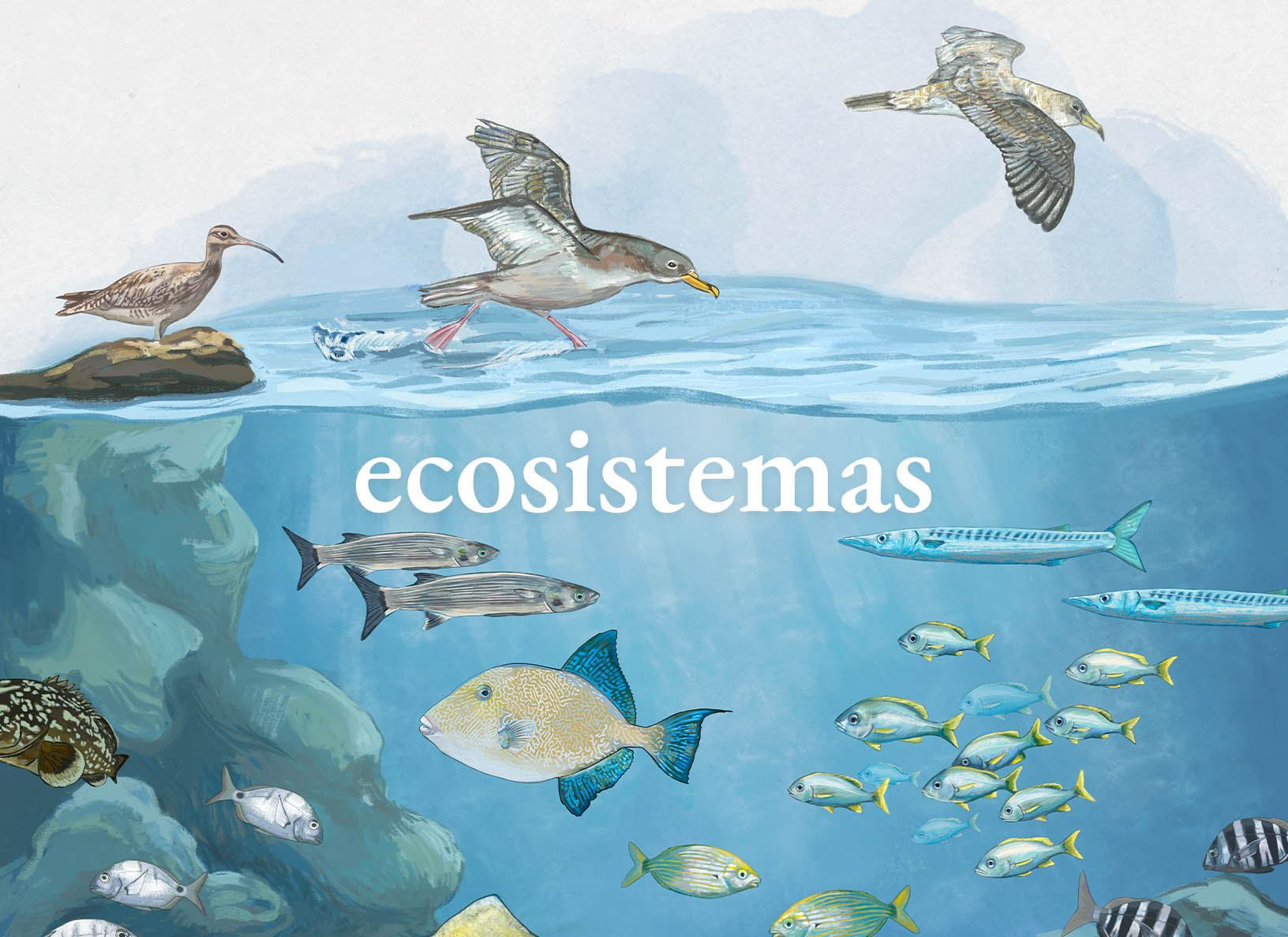 Ilustración de ecosistemas