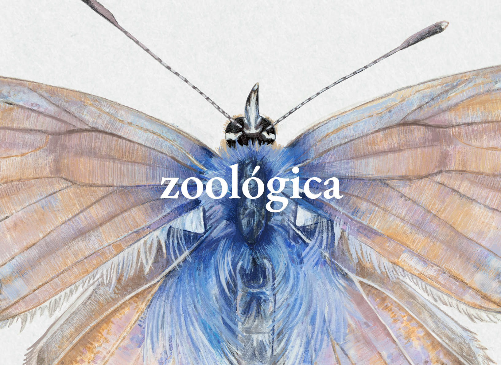 Ilustración zoológica